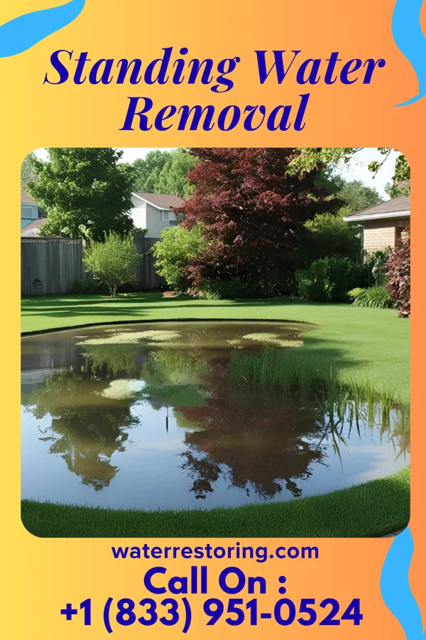 Standing Water Removal in Rocky River, OH